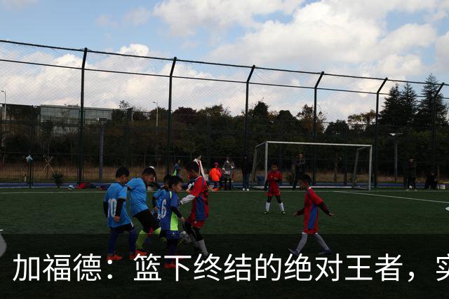 加福德：篮下终结的绝对王者，实力尽显无遗