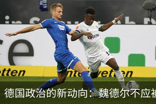 德国政治的新动向：魏德尔不应被简单贴标签